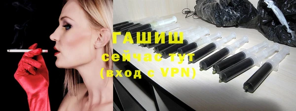 индика Билибино