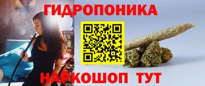 спайс Аргун