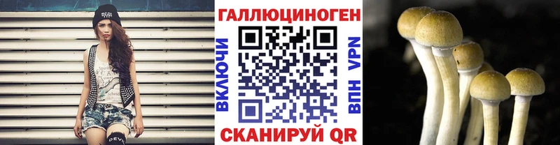 OMG Кыштым Галлюциногенные грибы Cubensis хочу наркоту